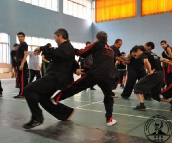 Maestro Chen Yong Fa China 2010