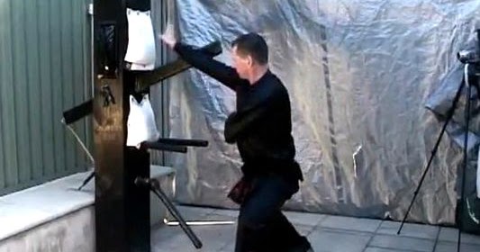 Choy Lee Fut Ching Jong Sifu Mark Whelan